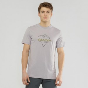 Salomon Blend Logo Tee M Férfi Póló Gray | 45863-IYDF