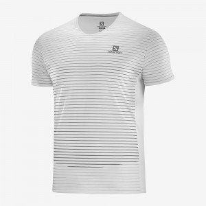 Salomon Sense Tee M Férfi Felsők Fehér | 85723-LIDF