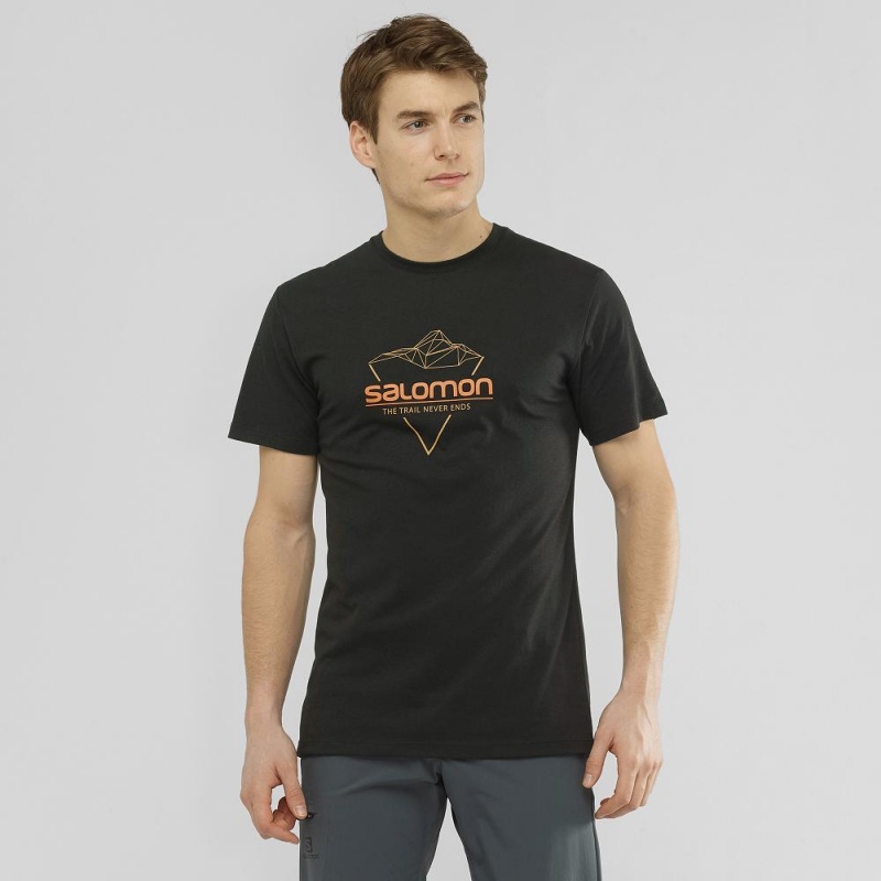 Salomon Blend Logo Tee M Férfi Póló Fekete | 84126-RKIQ