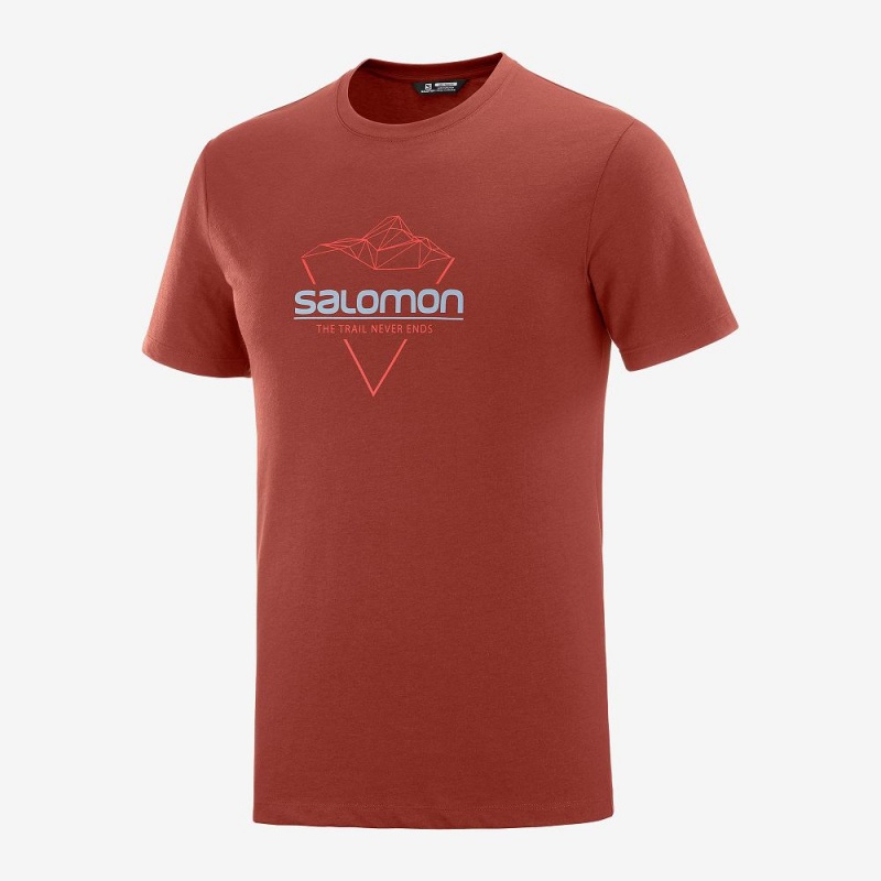 Salomon Blend Logo Tee M Férfi Póló Piros | 98370-NCUF