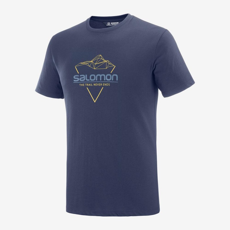 Salomon Blend Logo Tee M Férfi Póló Sötétkék | 76312-PDLC