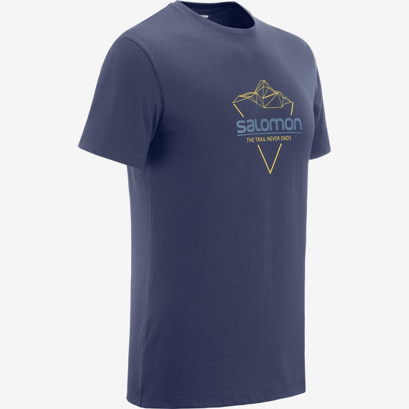 Salomon Blend Logo Tee M Férfi Póló Sötétkék | 76312-PDLC