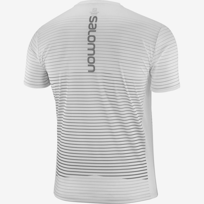 Salomon Sense Tee M Férfi Felsők Fehér | 85723-LIDF